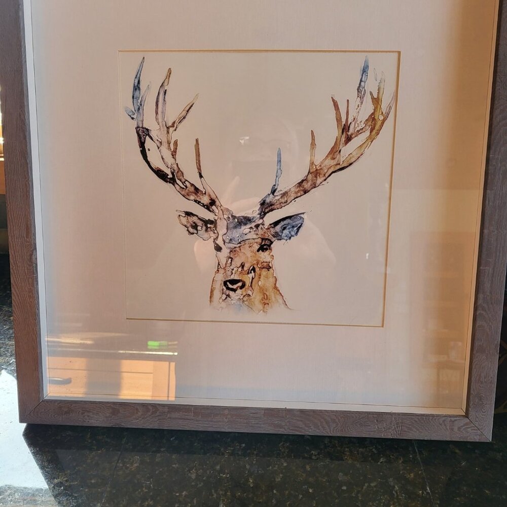 EUC Framed Watercolor Deer Decor